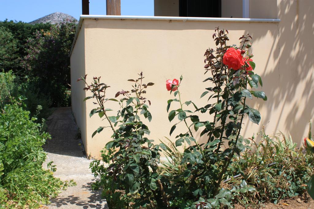 Naxos Cottage Kato Sangrion Bilik gambar